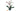 Lego Icons 10311 Orchidee