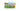 Lego Animal Crossing 77046 Julians Geburtstagsparty