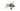 Lego Technic 42198 Dschungelflugzeug